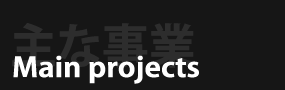 Main projects